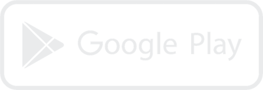 Google Store